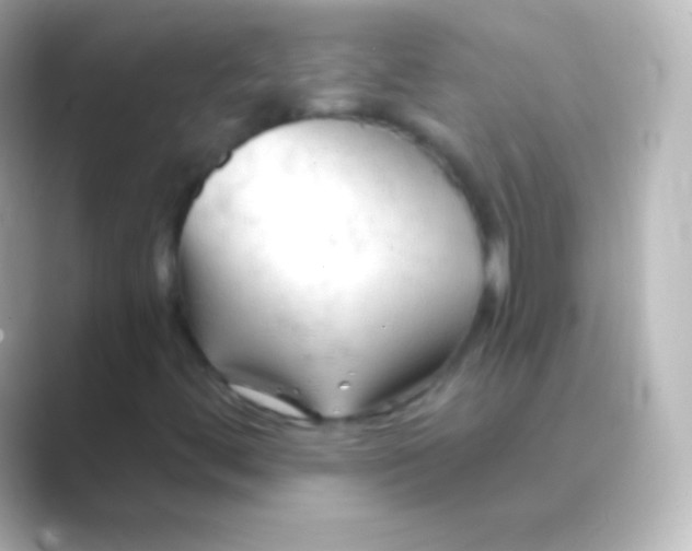 X0000088711444200706211954