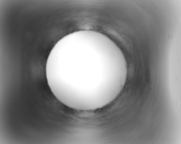 X0000088711446200706211954