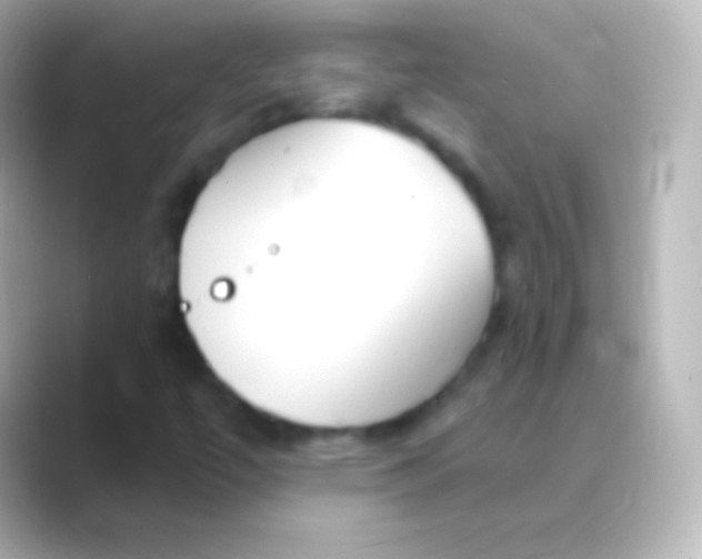 X0000088711447200706211954