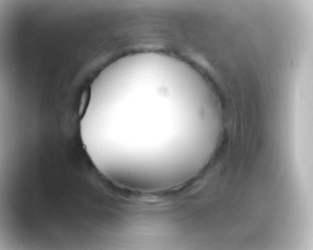 X0000088711448200706211954