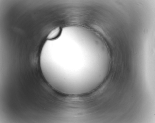 X0000088711450200706211954