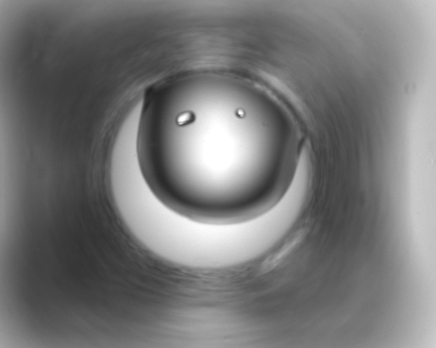 X0000088711453200706211954