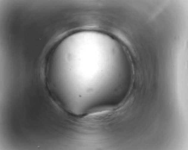 X0000088711456200706211954