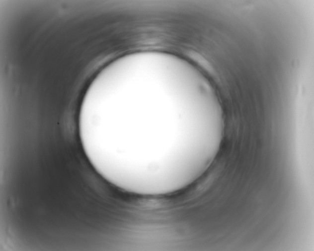 X0000088711458200706211954