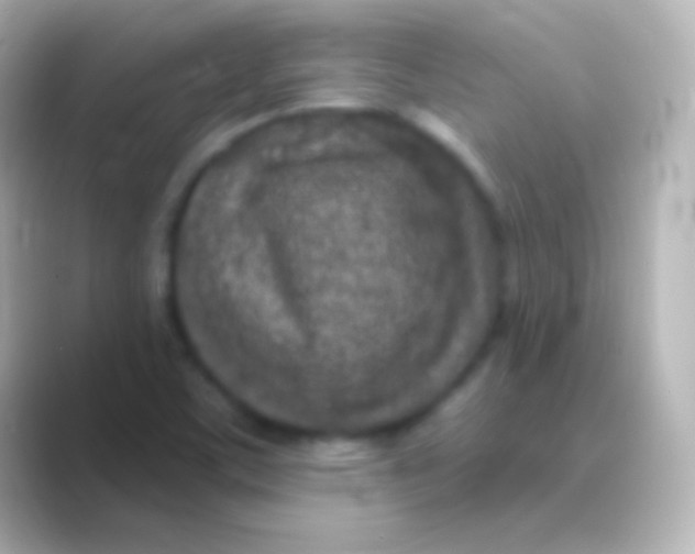 X0000088711459200706211954