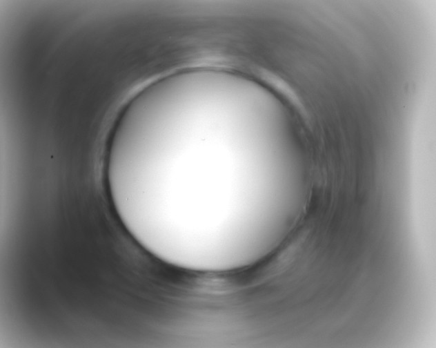 X0000088711463200706211954