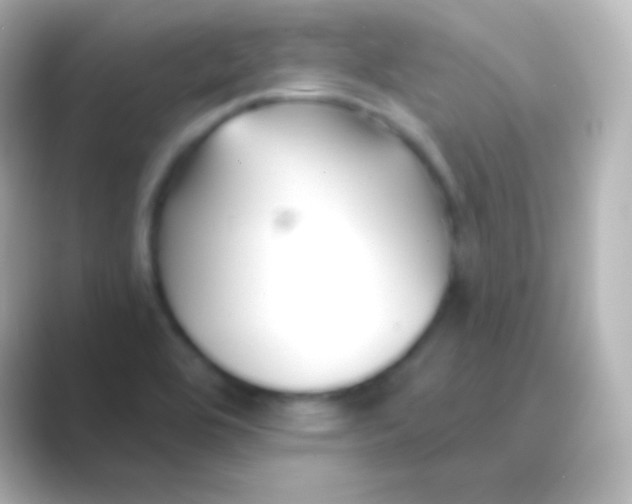 X0000088711464200706211954