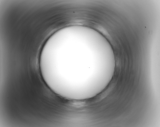 X0000088711466200706211954