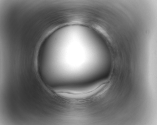 X0000088711469200706211954