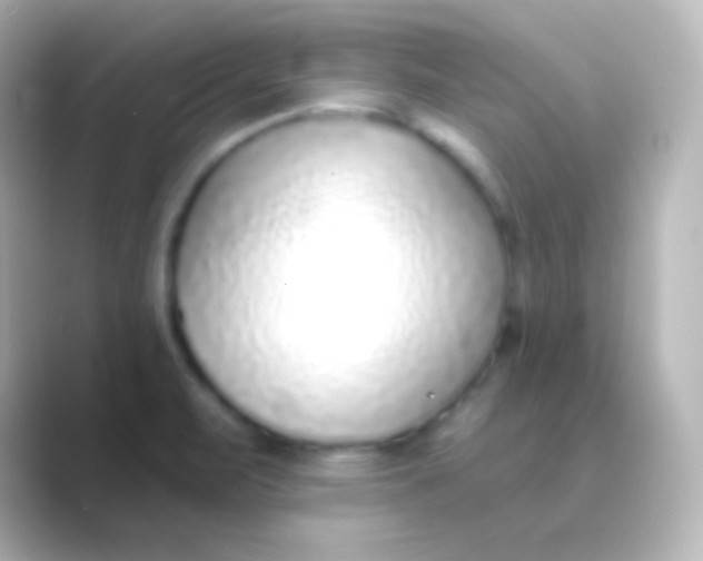 X0000088711471200706211954