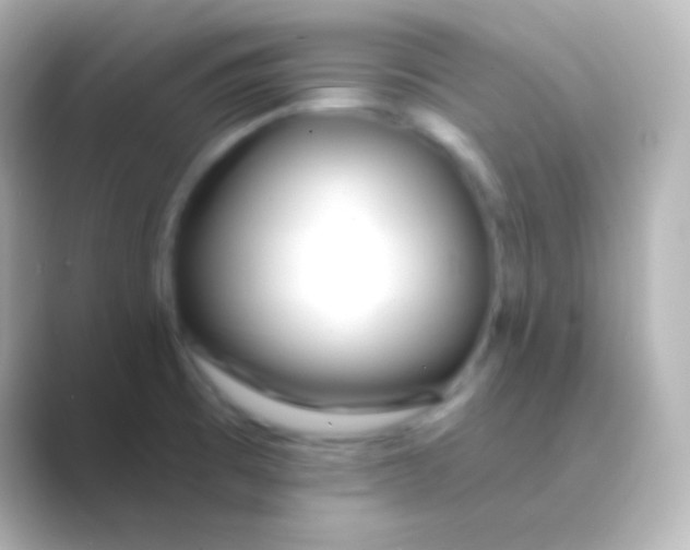 X0000088711473200706211954