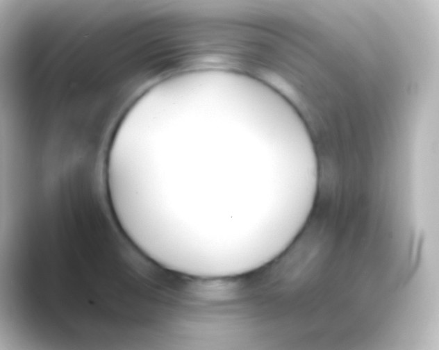 X0000088711474200706211954