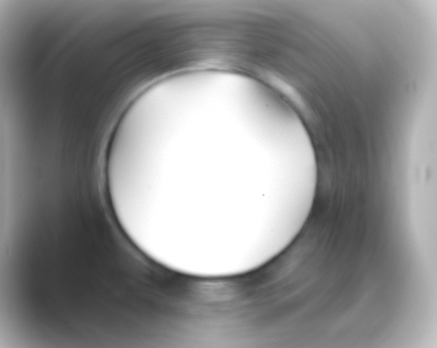 X0000088711479200706211954