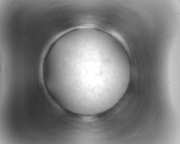 X0000088711480200706211954