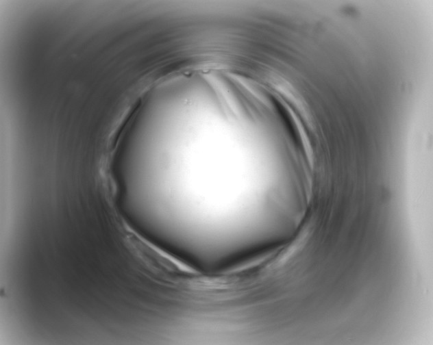 X0000088711481200706211954