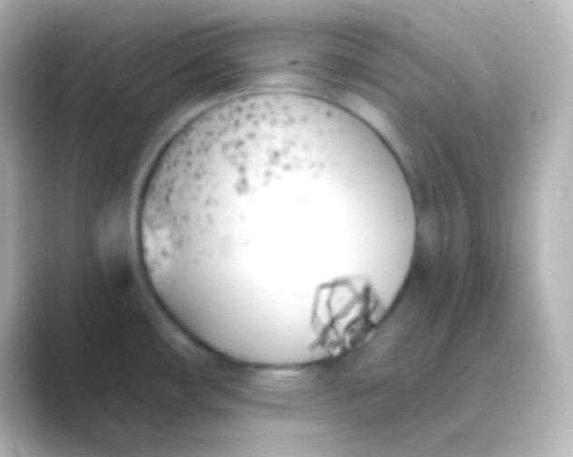 X0000088711482200706211954