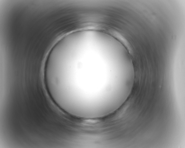 X0000088711483200706211954