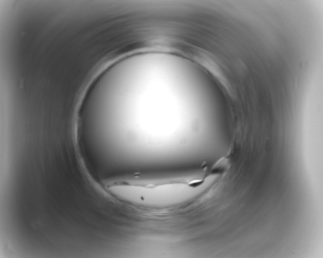 X0000088711484200706211954