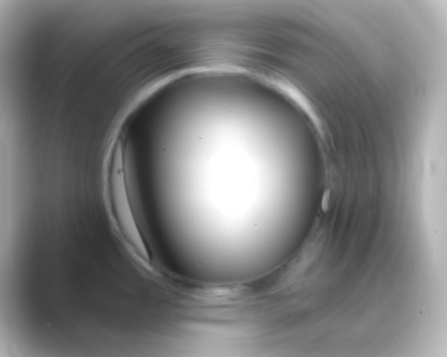 X0000088711485200706211954