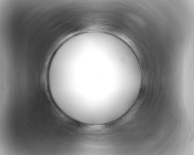 X0000088711486200706211954