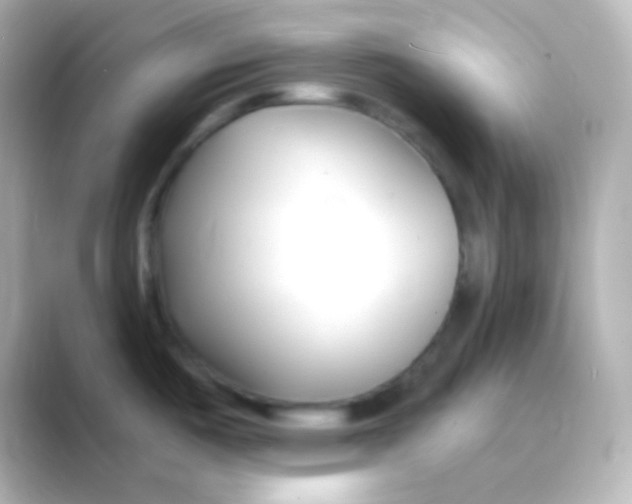 X0000088711487200706211954