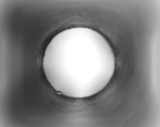 X0000088711495200706211953