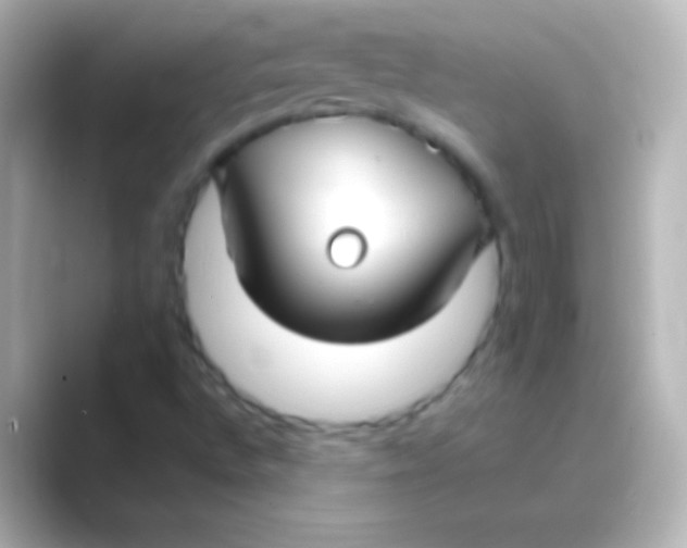 X0000088711496200706211953