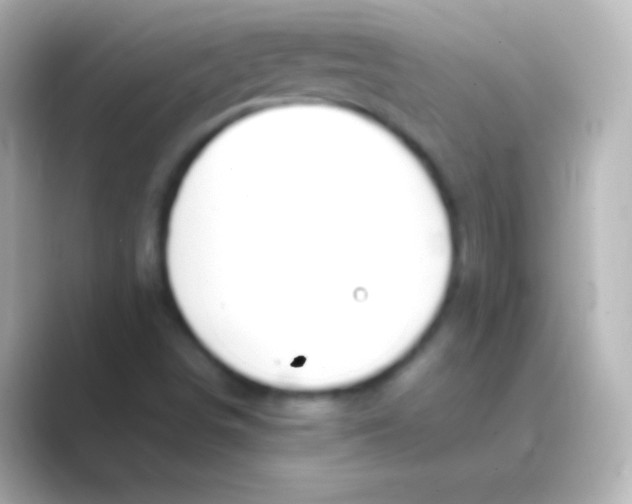 X0000088711498200706211953