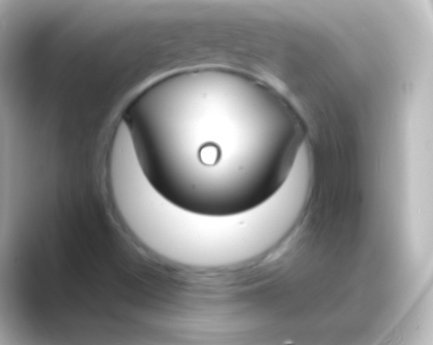 X0000088711500200706211953