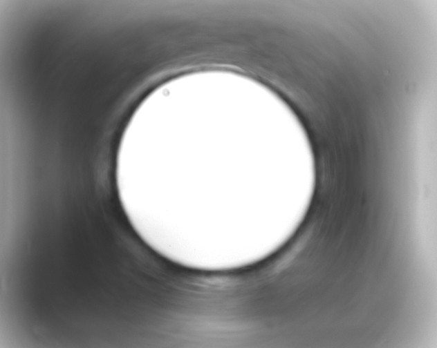 X0000088711502200706211953