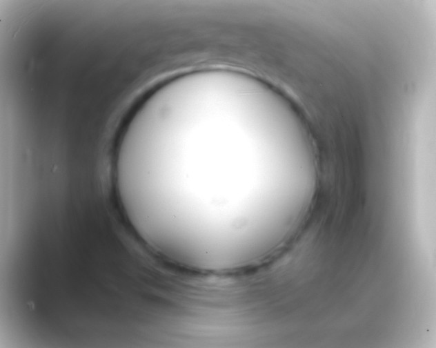 X0000088711503200706211953