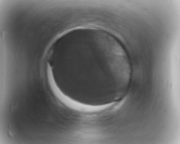 X0000088711506200706211953