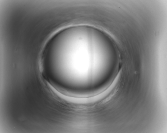 X0000088711510200706211953