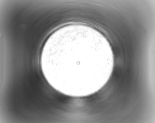 X0000088711514200706211953