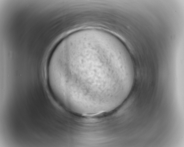 X0000088711515200706211953