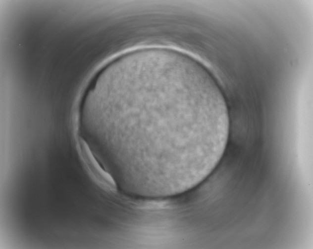 X0000088711519200706211953