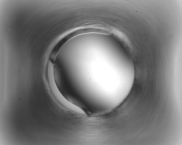 X0000088711520200706211953