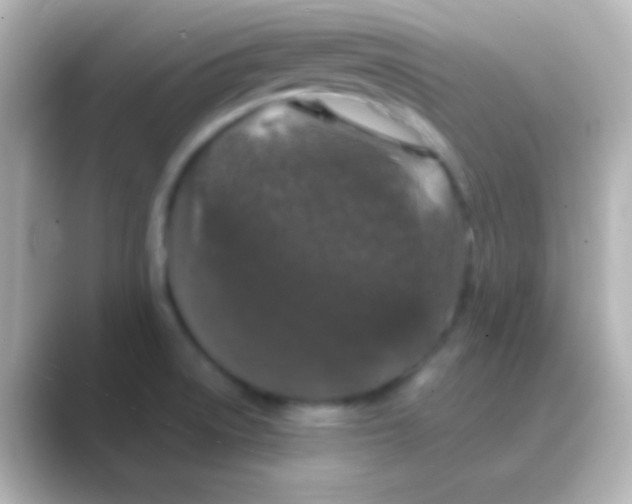 X0000088711522200706211953