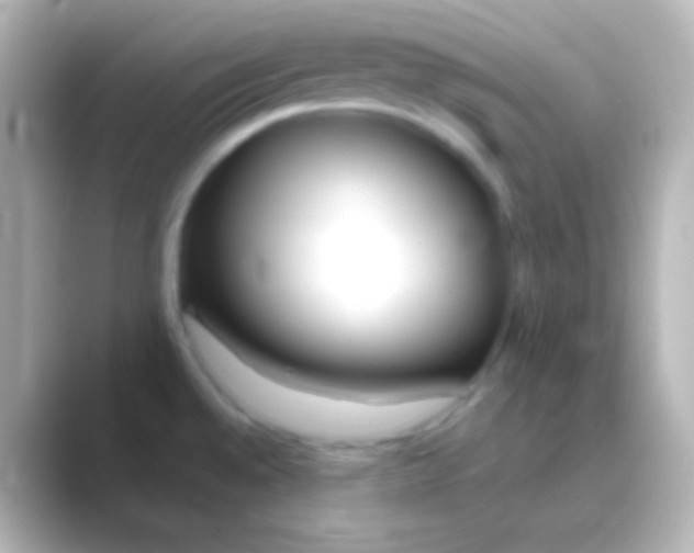 X0000088711528200706211953