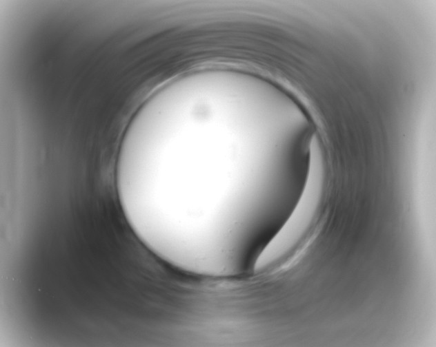 X0000088711529200706211953