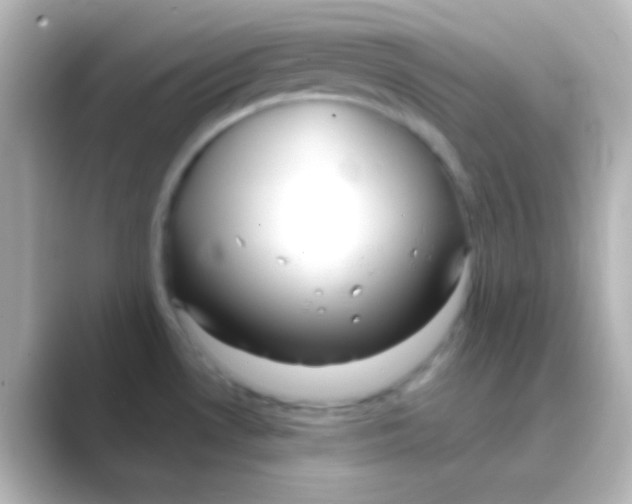 X0000088711530200706211953