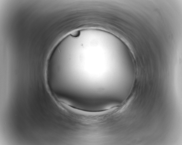 X0000088711533200706211953