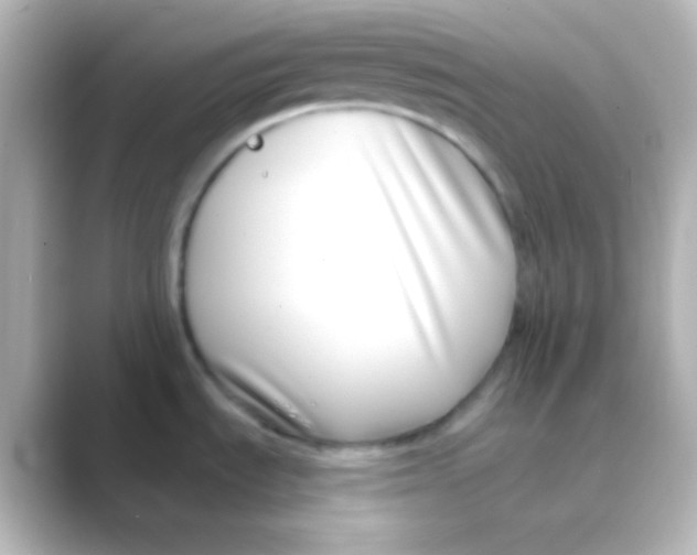 X0000088711535200706211953