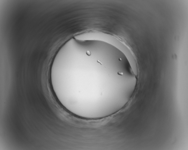 X0000088710001200706282053