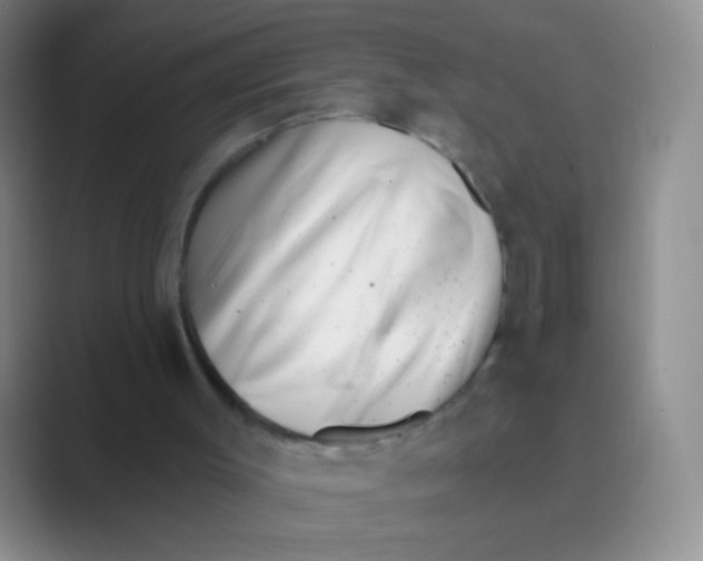 X0000088710003200706282053