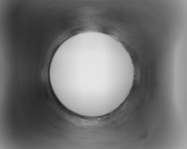 X0000088710004200706282053