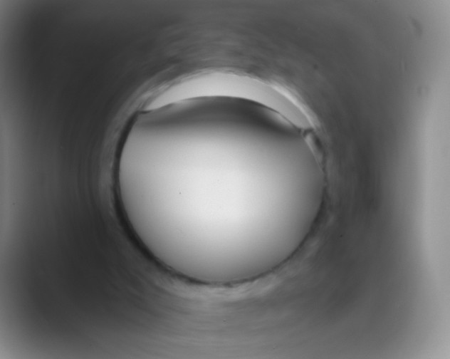 X0000088710007200706282053