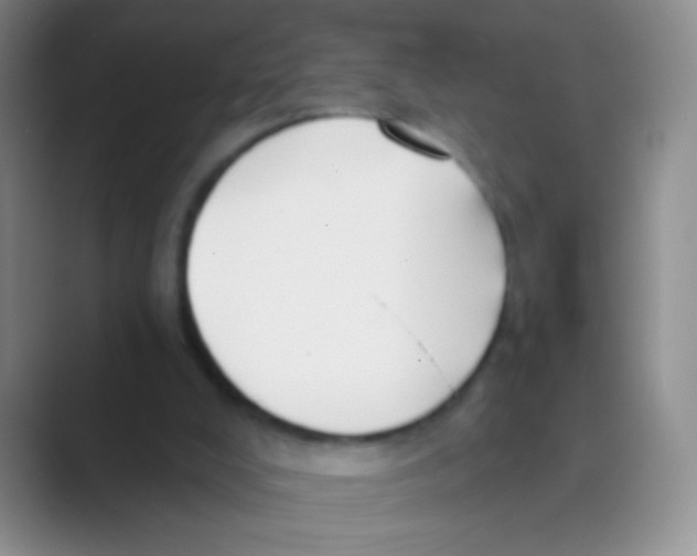 X0000088710008200706282053