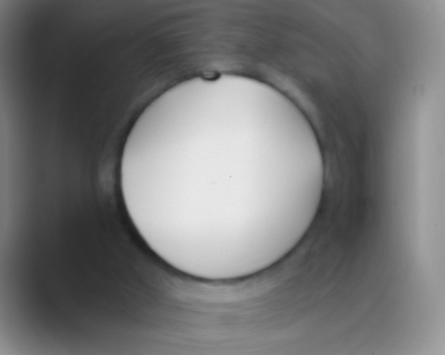 X0000088710010200706282053