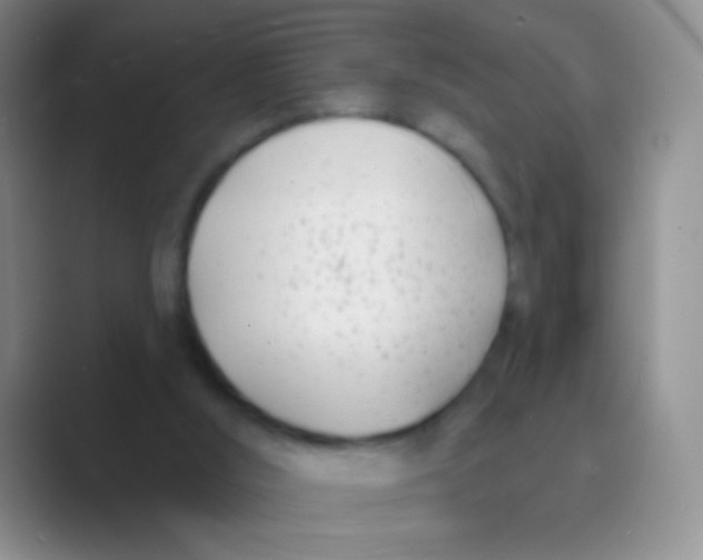 X0000088710012200706282053